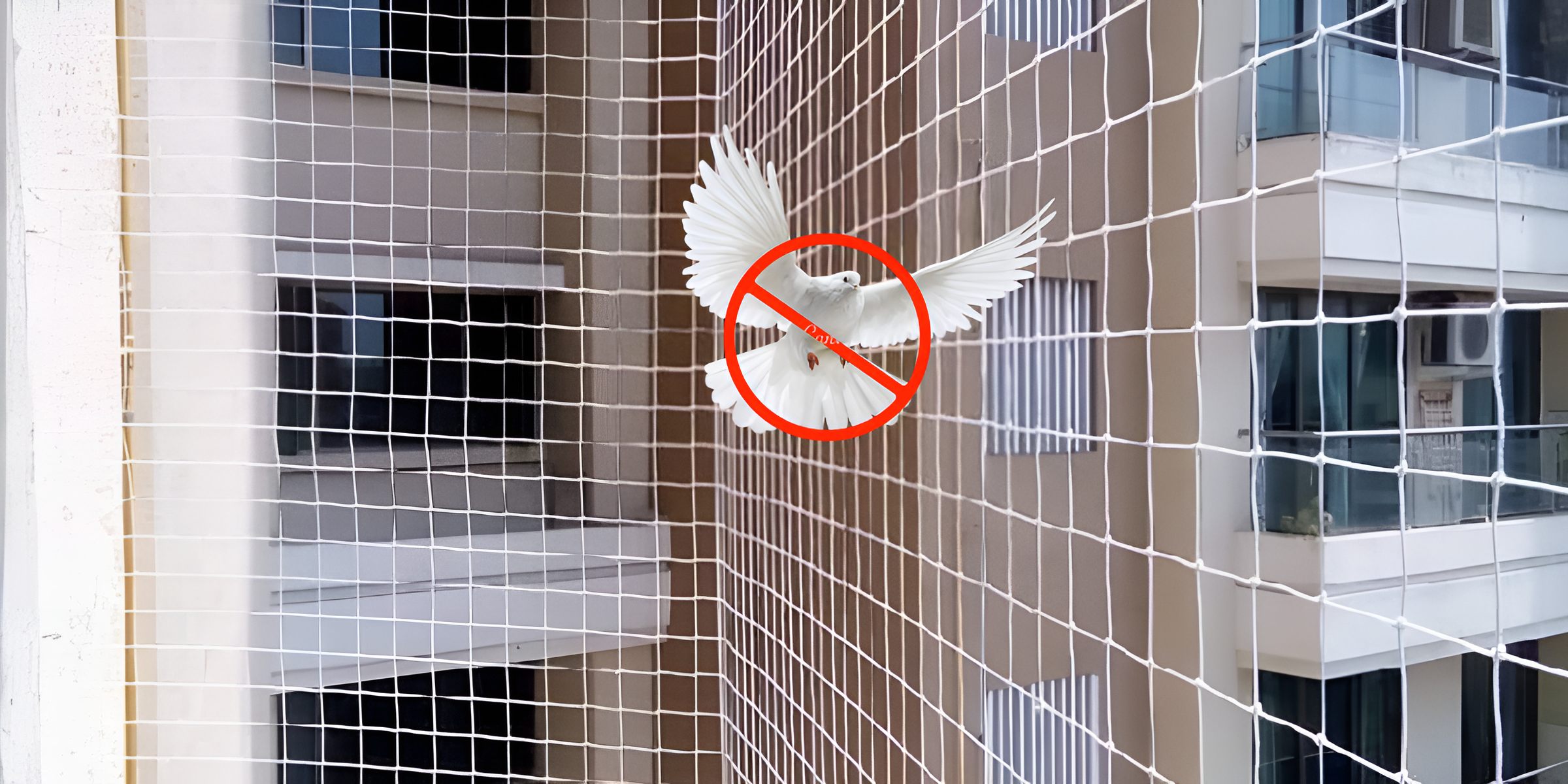 Anti-Bird Nets