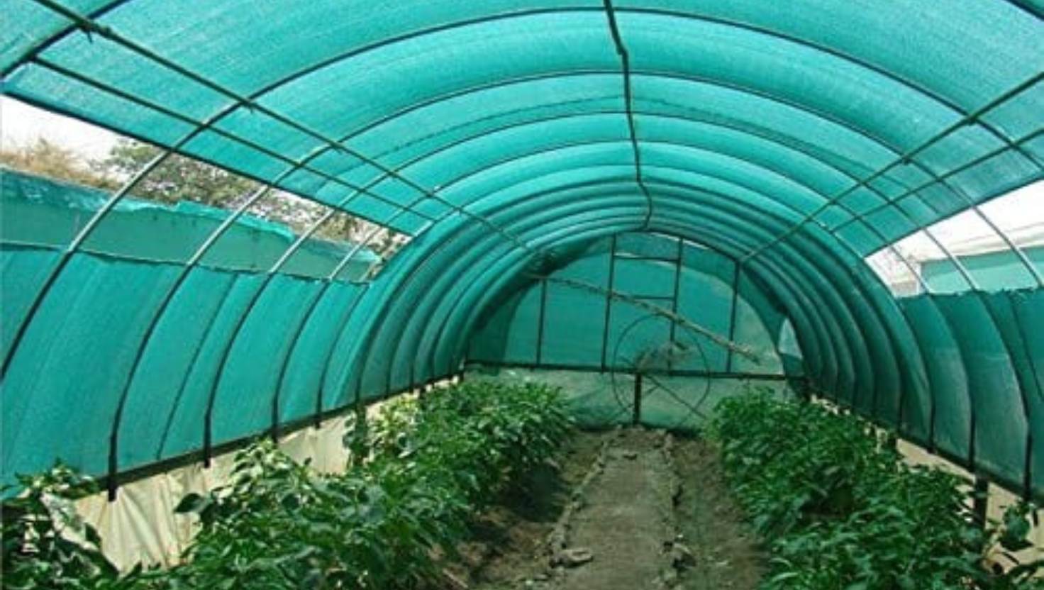 Shade Nets
